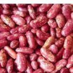 RED SPICKLED KIDNEY BEANS